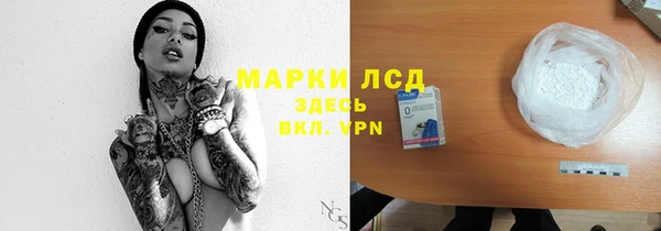 прущие грибы Баксан