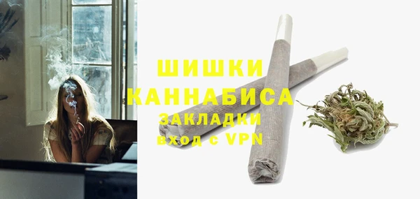 прущие грибы Балабаново