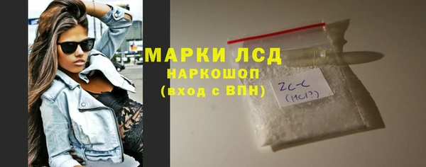прущие грибы Баксан