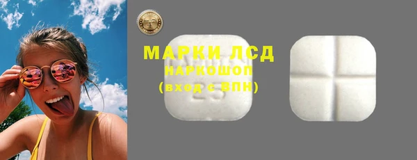 прущие грибы Баксан