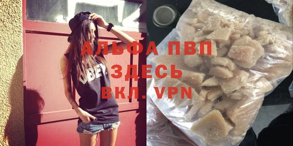 прущие грибы Балабаново