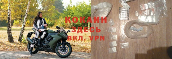 прущие грибы Балабаново