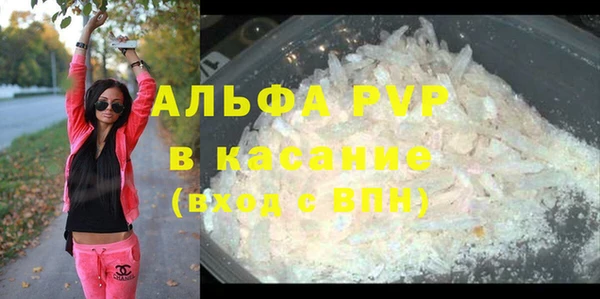 прущие грибы Балабаново