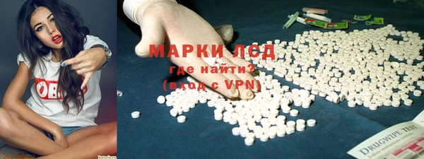 прущие грибы Баксан