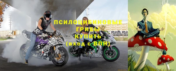 прущие грибы Балабаново
