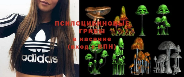 прущие грибы Баксан