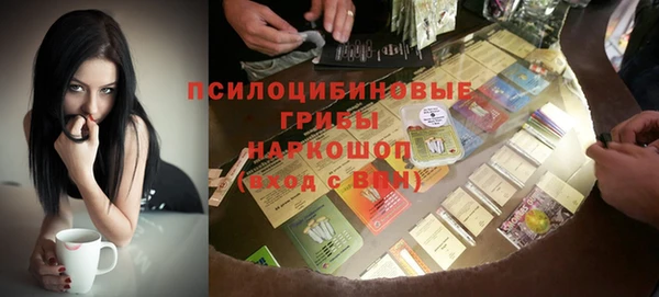 прущие грибы Балабаново