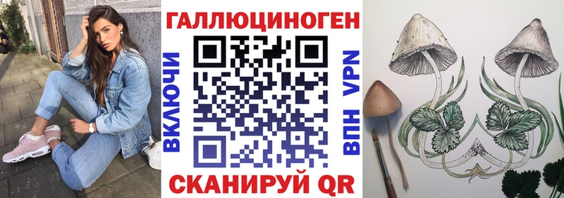 закладка  Фролово  Галлюциногенные грибы прущие грибы 